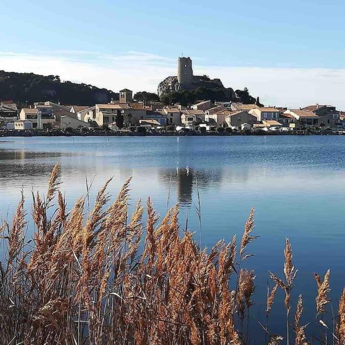 La Maison Du Bonheur F5 Jardin Et Piscine Narbonne Eksteriør billede